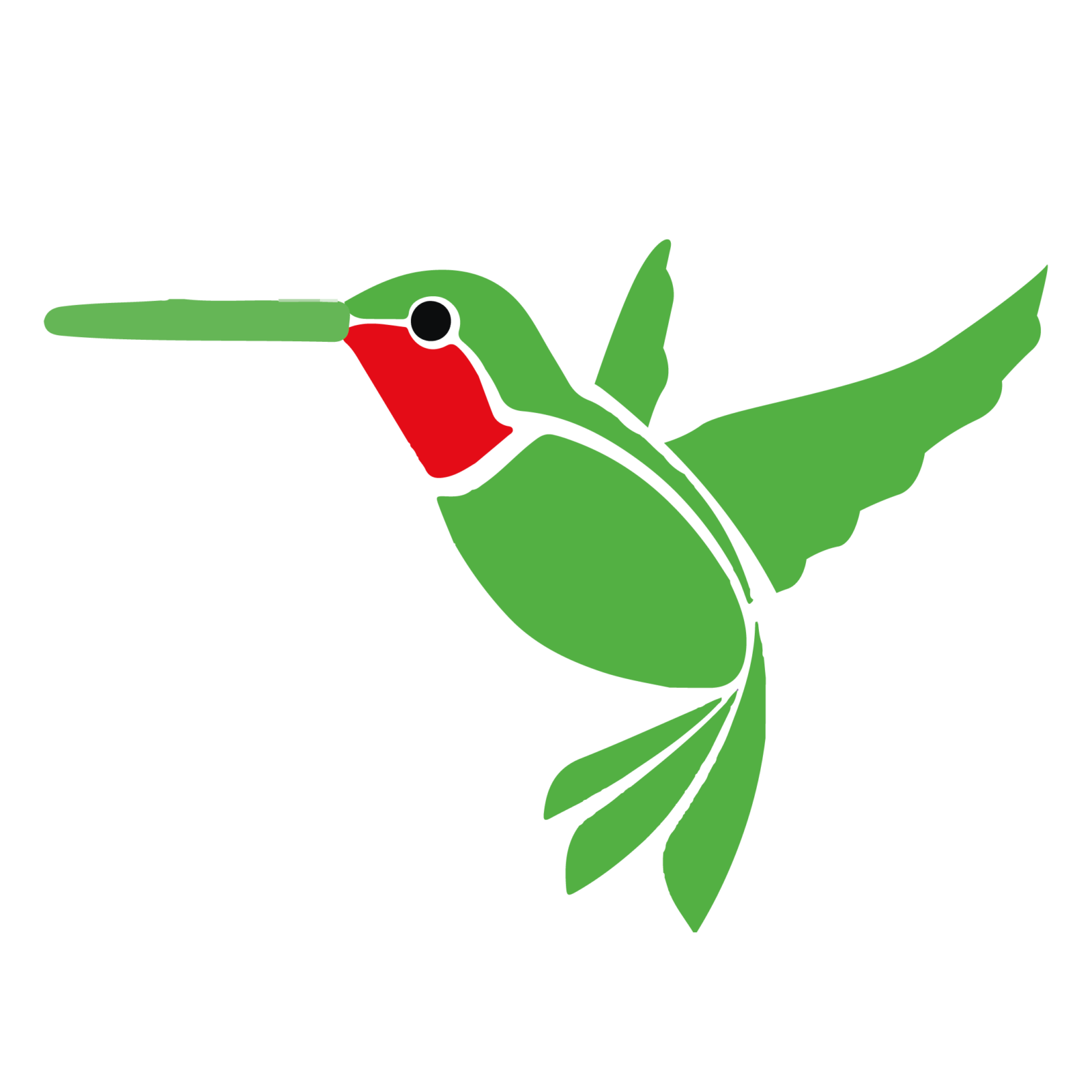 Hummingbird