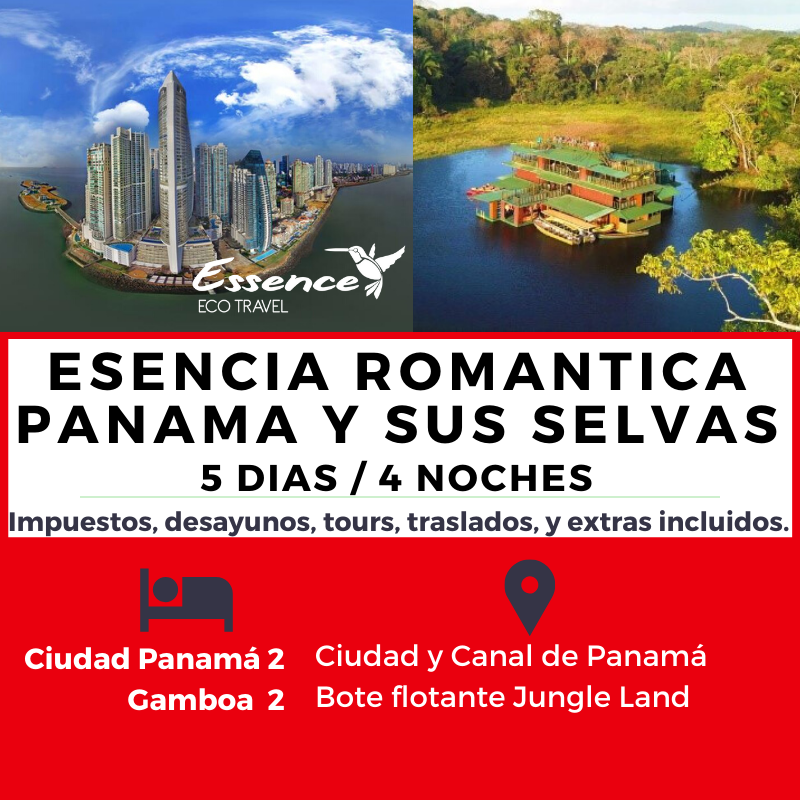 PAQUETES PTY 2