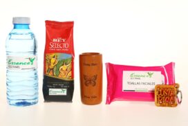 Este fin de año Essence Eco Travel les brinda las mejores experiencias, con el mejor servicio para sus