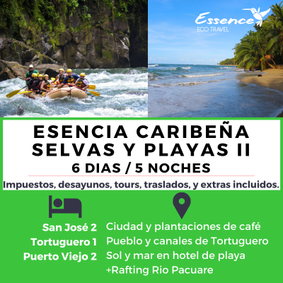 CARIBEÑA SELVAS II