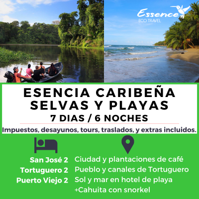 CARIBEÑA SELVAS Y