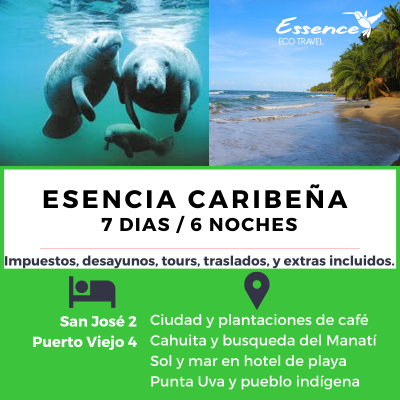 ESENCIA CARIBEÑA
