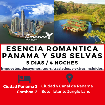 PAQUETES PTY 2 PAQUETES PTY 2