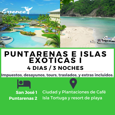 PUNTARENAS I