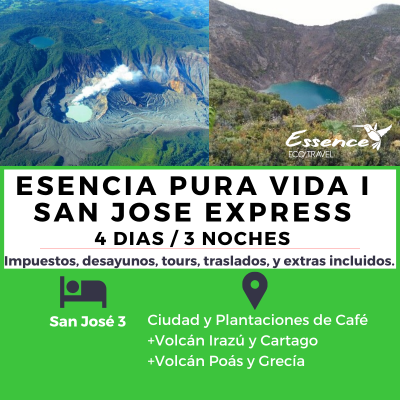 PURA VIDA I