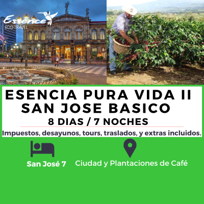 PURA VIDA II